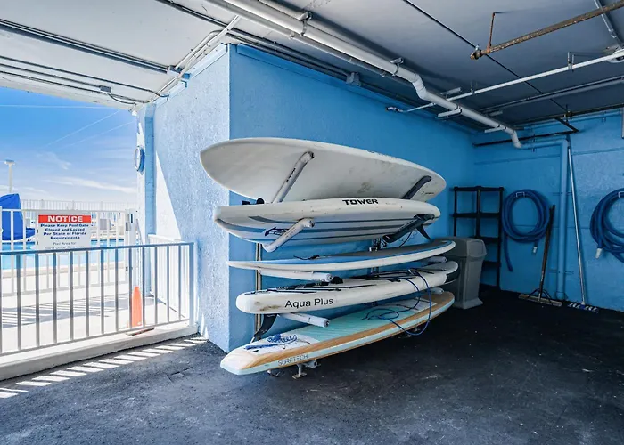 Dollar 409 Apartment Clearwater Beach